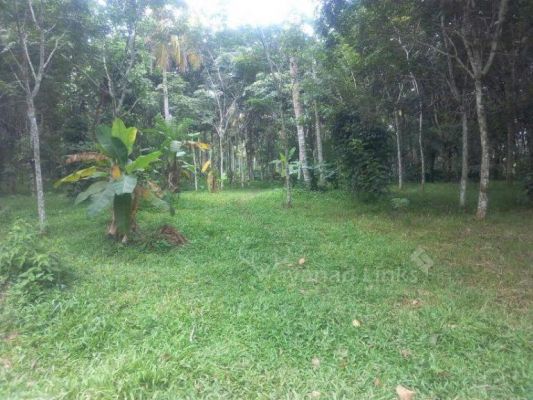 60 cent land for sale in Wayanad