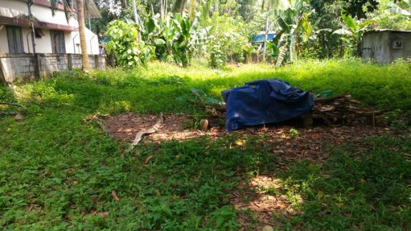 26 cent land for sale in ramavarmapuram