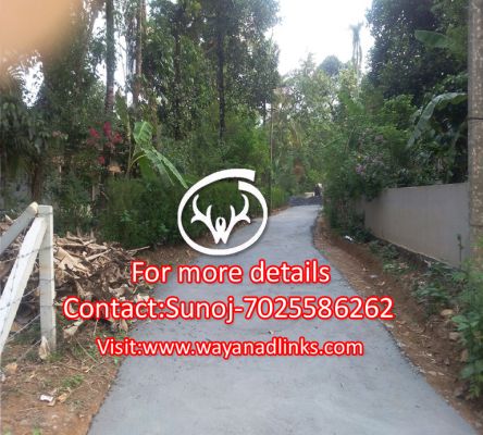 1 acre 67 cent land for sale at Mananthavady