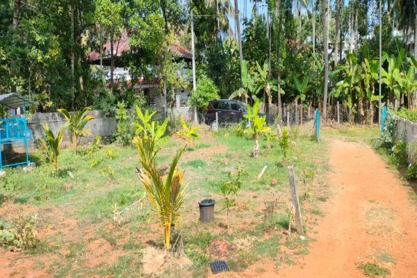 Residential Land with house for sale near Vimala college, Thrissur.