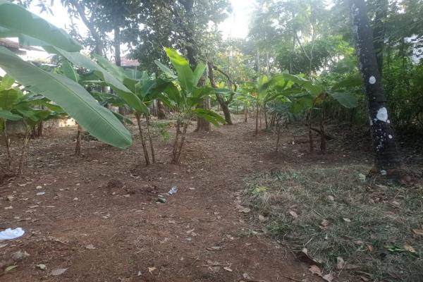 Residential Land for sale in Kolazhy, Poovani, Thrissur