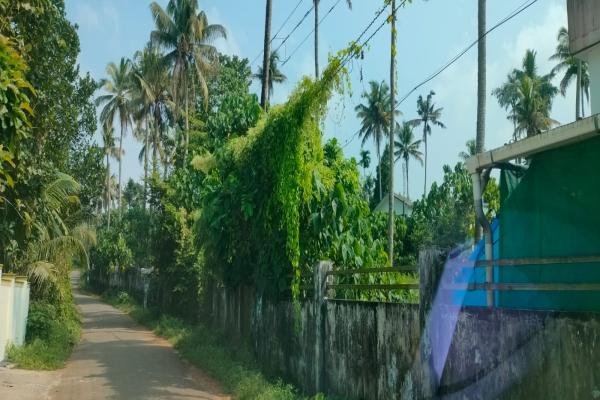 Resiendial land for sale in Kodaly, Kodakkara
