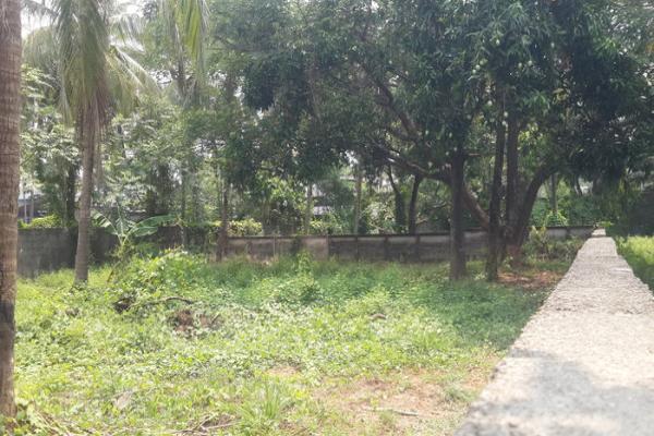 Residential Land for sale in Avenue Road, Unity Nagar, Kuriachira, Thrissur