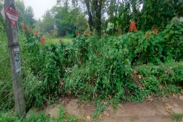 Residential land for sale in ayyanthole with compound wall,