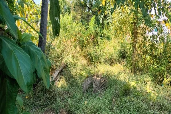 Residential Land for sale in Peringav Center, Thrissur
