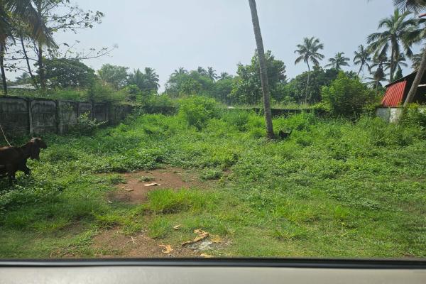 Residential Land 7.5 cent for sale in Ollur,companypadi.