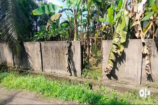 11.5 cent Land for sale near Viyyur Palam, Thrissur.