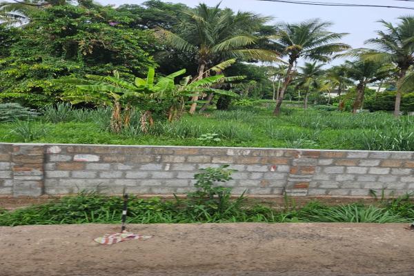 Land(paramb) for sale in Marathakkara, Thrissur. ndia