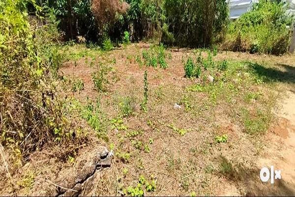 Land for sale near Viyyur Palam, Thrissur.