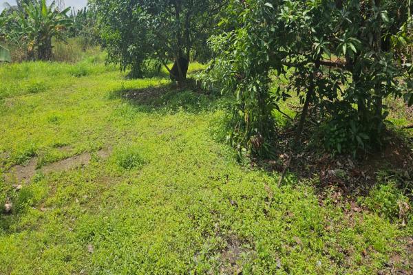9 cent residential land for sale in priyadharshini nagar near lourde catredal , east fort thrissur