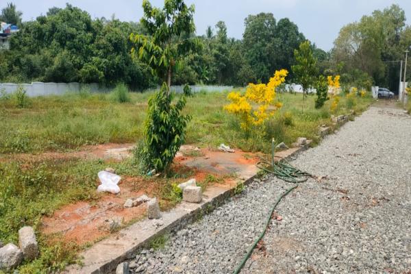Residential plots  for sale in Kechery Center, Thrissur.