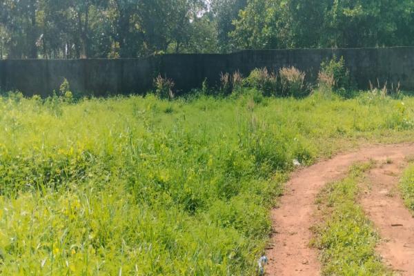 Residential plots  for sale in Nellikunnu Center, Located Near Main road.