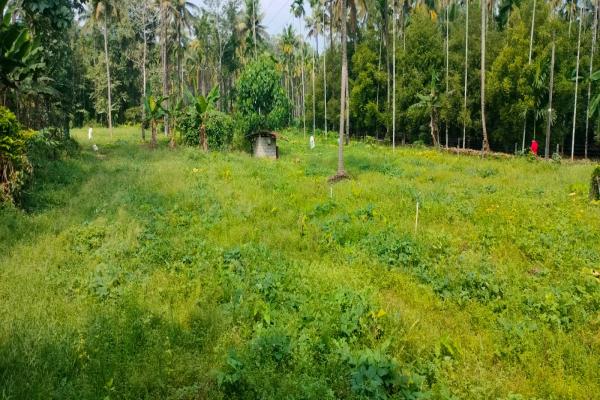 Resiendial plots for sale in Kodaly, Kodakkara, Thrissur.