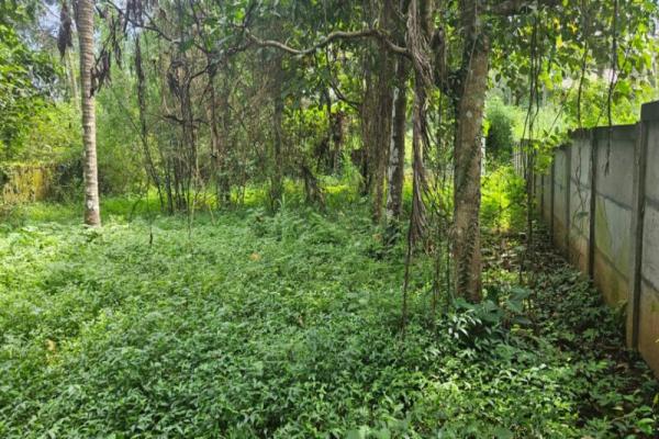 Residential land for sale in peramangalam ,Thrissur
