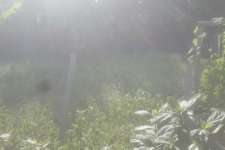 RESIDENTIAL LAND FOR SAlE IN PERINGAVU