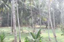20 cents of Square plot land , Kandanissery , near Guruvayur , Thrissur .