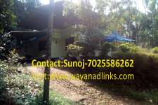 55 cent land with 1300 Sq. ft House for sale at Kenichira,Wayanad