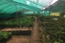 30 cents prime plot for sale in iritty town