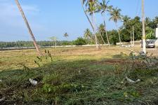 Residential plots in 5 ,10, 20 cents for sale in mundoor, Thrissur.