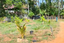 Residential Land with house for sale near Vimala college, Thrissur.