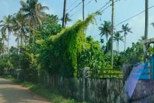 Resiendial land for sale in Kodaly, Kodakkara