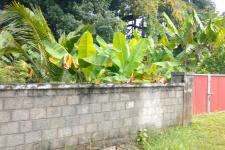 Residential land for sale in Viyyur,Thrissur.