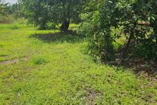 The The Residential Land with compound wall for sale in Viyyur Jailpadi,Thrissur